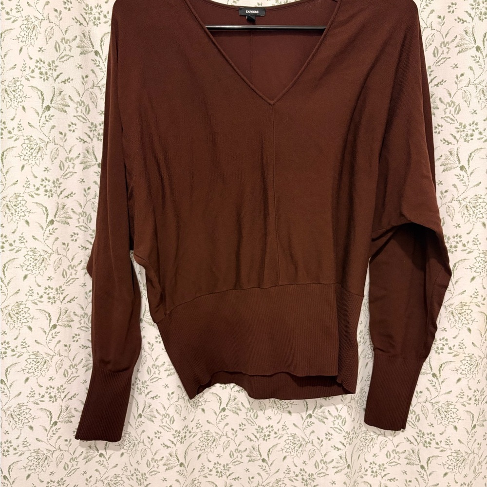 Express Brown V-Neck Blouse